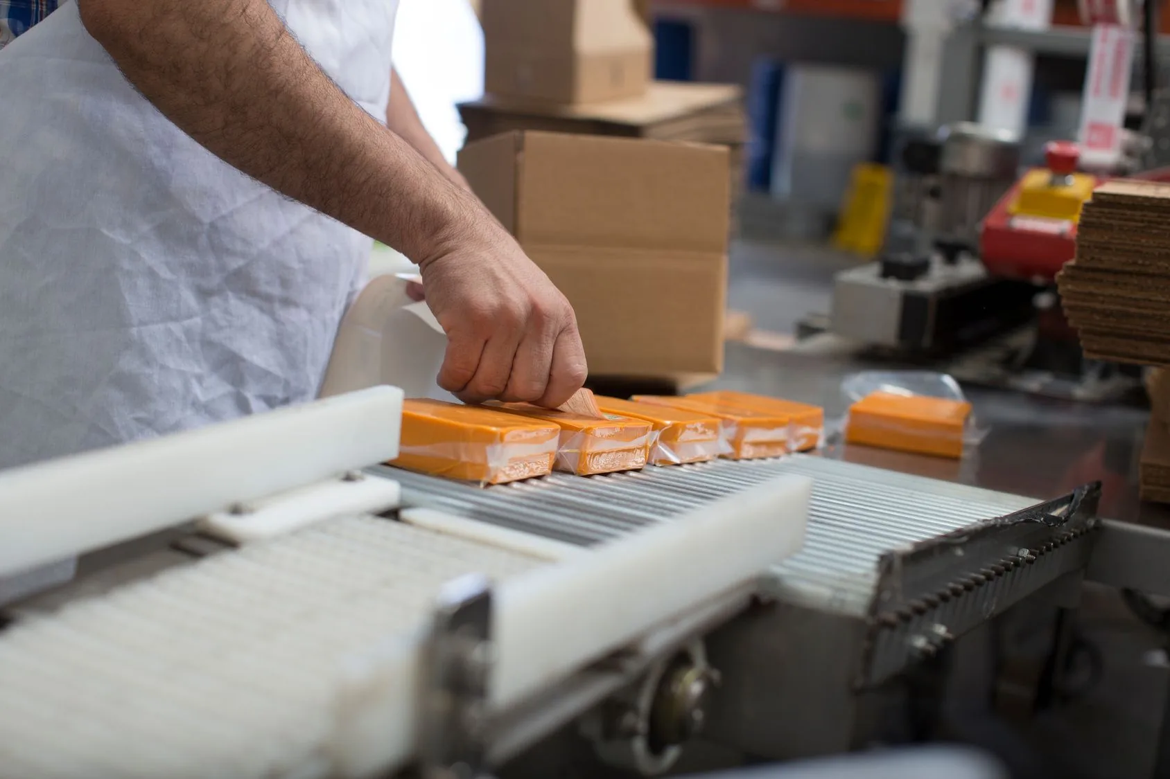 Worker placing wrapped orange cheese blocks along a factory conveyor line