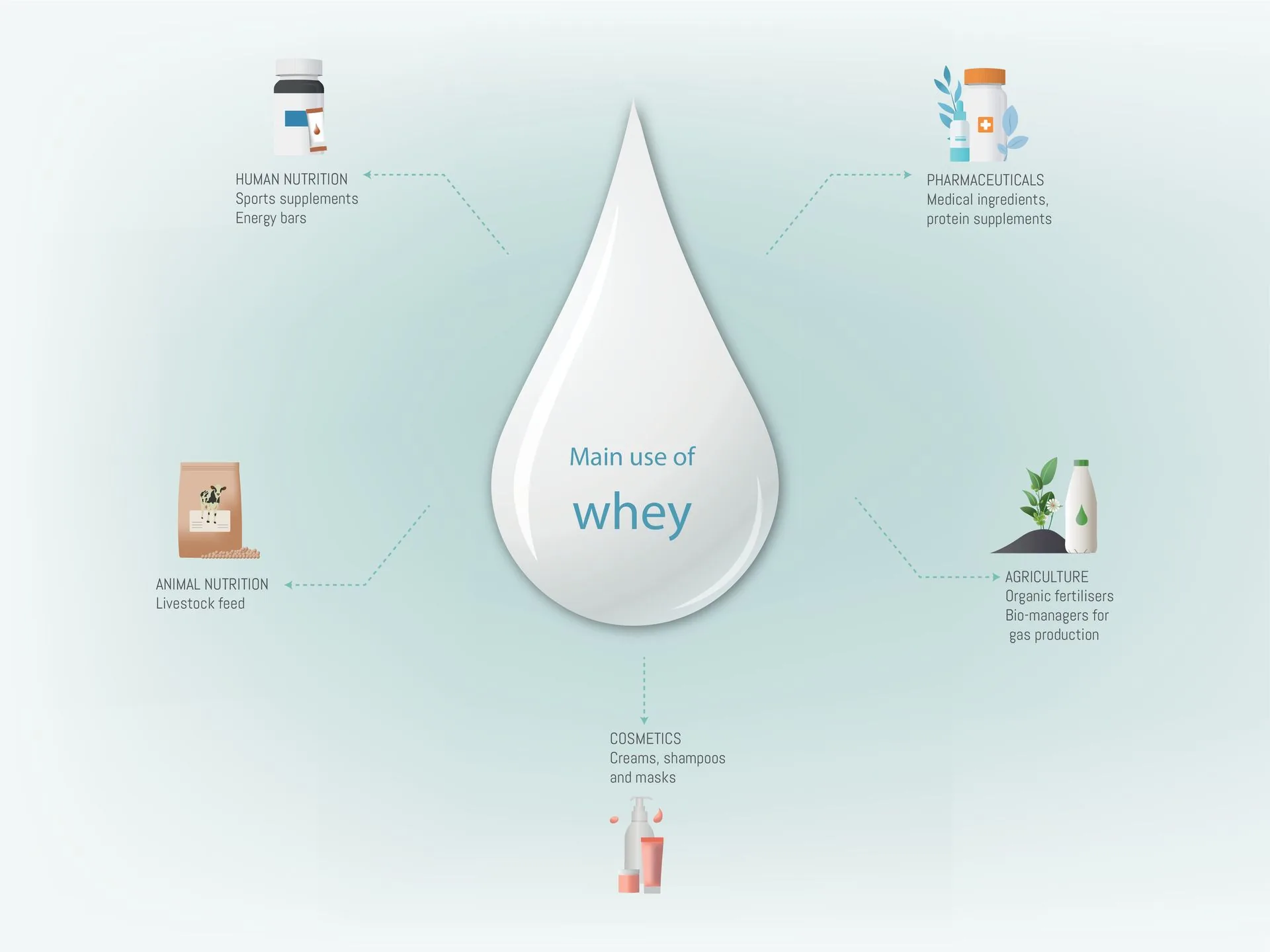 Whey forward: redefining value across beauty, wellness and performance