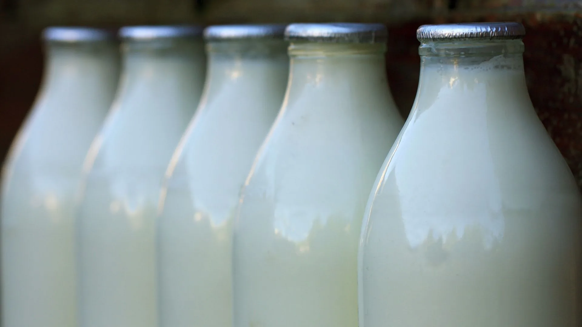 Row of foil-capped glass bottles filled with fresh milk