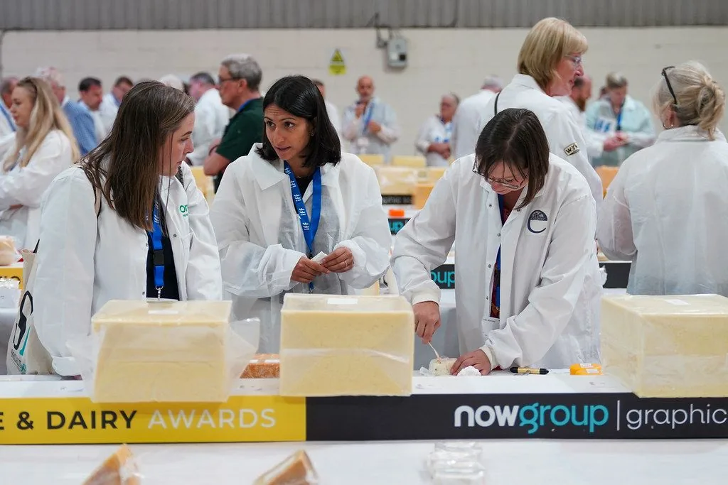 Judges in white coats cutting and assessing large blocks of cheese at an awards bench