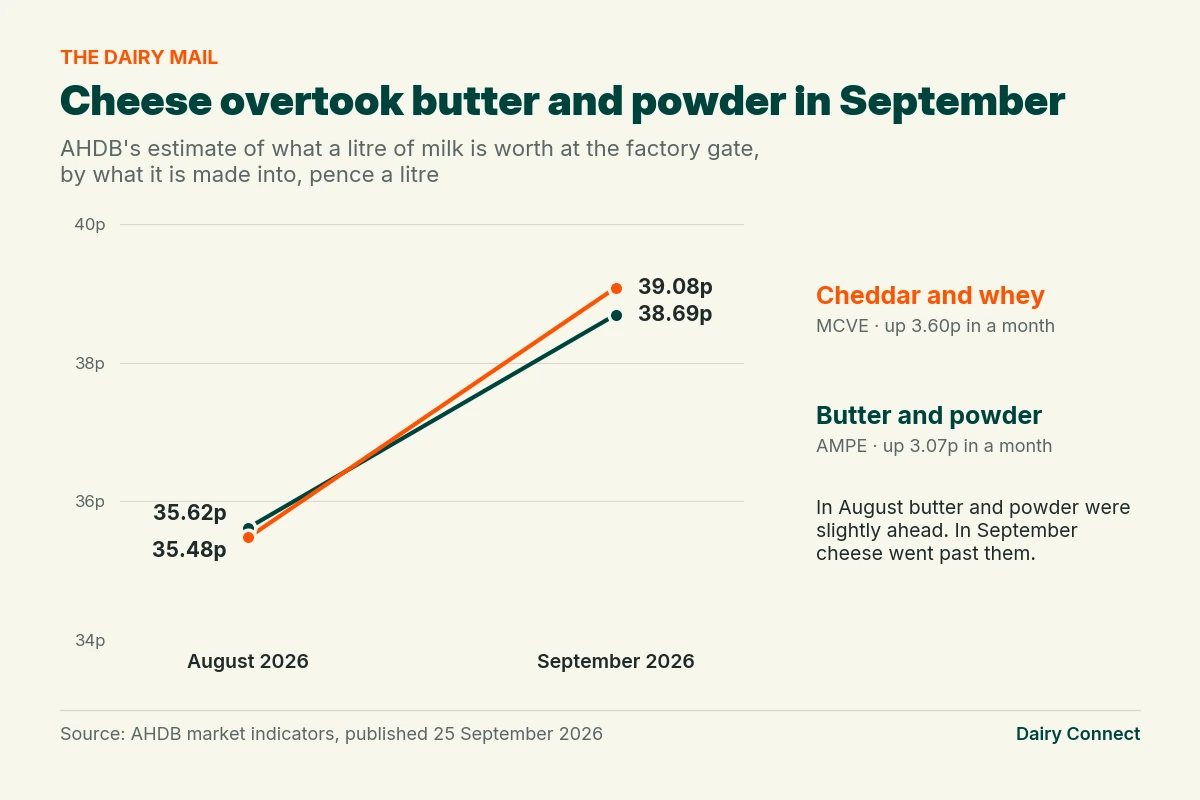 Line chart of AHDB's estimate of what a litre of milk is worth at the factory gate, pence a litre. A litre made into Cheddar and whey rises from 35.48 pence in August 2026 to 39.08 pence in September, up 3.60 pence, overtaking a litre made into butter and powder, which rises from 35.62 pence to 38.69 pence, up 3.07 pence.